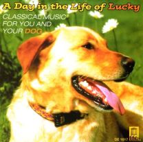 A Day In the Life of Lucky - Music For You and Your Dog