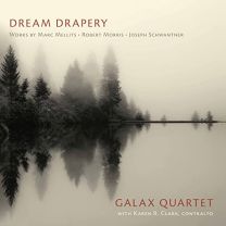 Dream Drapery: Galax Quartet