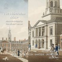 Hibernian Muse. Music For Ireland By Purcell and Cousser