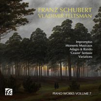 Schubert: Piano Works Vol. 7 - Impromptus, Moments Musicaux, Adagio & Rondo, 'grazer' Fantasie & Variations