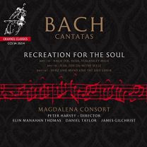 J.s.bach - Recreation For the Soul