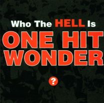 Who the Hell Is One Hit Wonder?