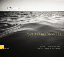 Arx Duo: Ambient Resonances