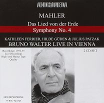 Bruno Walter In Vienna