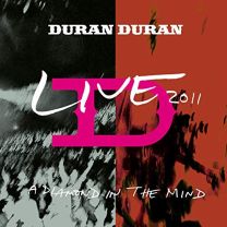 Live 2011 (A Diamond In the Mind)