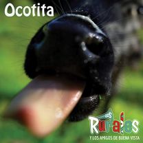 Los Rurales Y Los Amigos de Buena Vista: Ocotitia