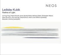 Ladislav Kubik: Flashes of Light