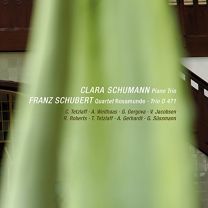 Schumann: Piano Trio / Schubert: String Quartet 13 D804, String Trio D471