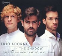 In the Shadow: Piano Trios By Mozart, Martinu & Mendelssohn