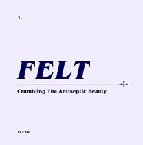 Crumbling the Antiseptic Beauty (Remastered Edition)