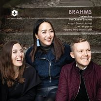 Johannes Brahms: Clarinet Trio, the Clarinet Sonatas
