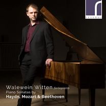 Walewein Witten: Piano Sonatas By Haydn, Mozart & Beethoven