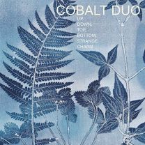 Cobalt Duo: Up, Down, Top, Bottom, Strange, Charm