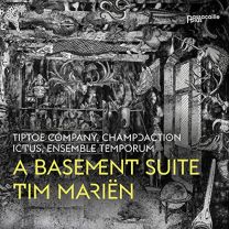 Tim Marien: A Basement Suite