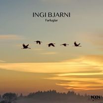 Ingi Bjarni:farfuglar