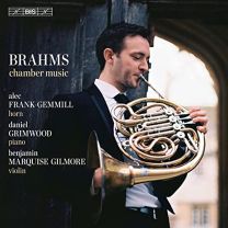 Johannes Brahms: Chamber Music