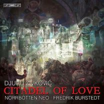 Djuro Zivkovic: Citadel of Love