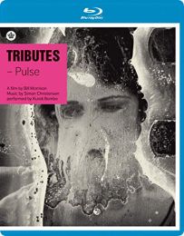 Tributes Pulse: A Requiem For the 20th Century [blu-Ray] [2011]
