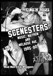 Scenesters: Music, Mayhem & Melrose Ave [dvd]