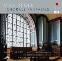 Max Reger: Chorale Fantasies - Walker Organ Votivkirche Vien