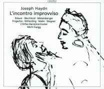 Joseph Haydn: L'incontro Improvviso