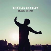 Bradley,charles - Black Velvet (1 Lp)