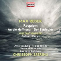 Reger & Mahler: Works