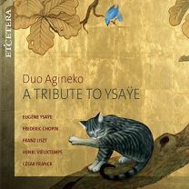 Ysaye/Chopin/Liszt/Vieutemps/Franck:a Tribute To Ysaye