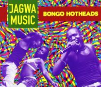 Bongo Hotheads