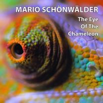 Eye of the Chameleon