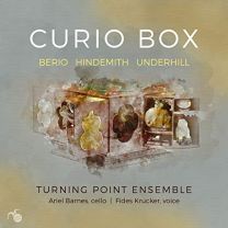 Curio Box