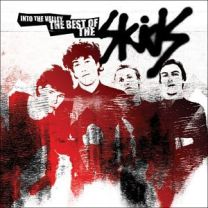Skids Into the Valley: the Best of the Skids